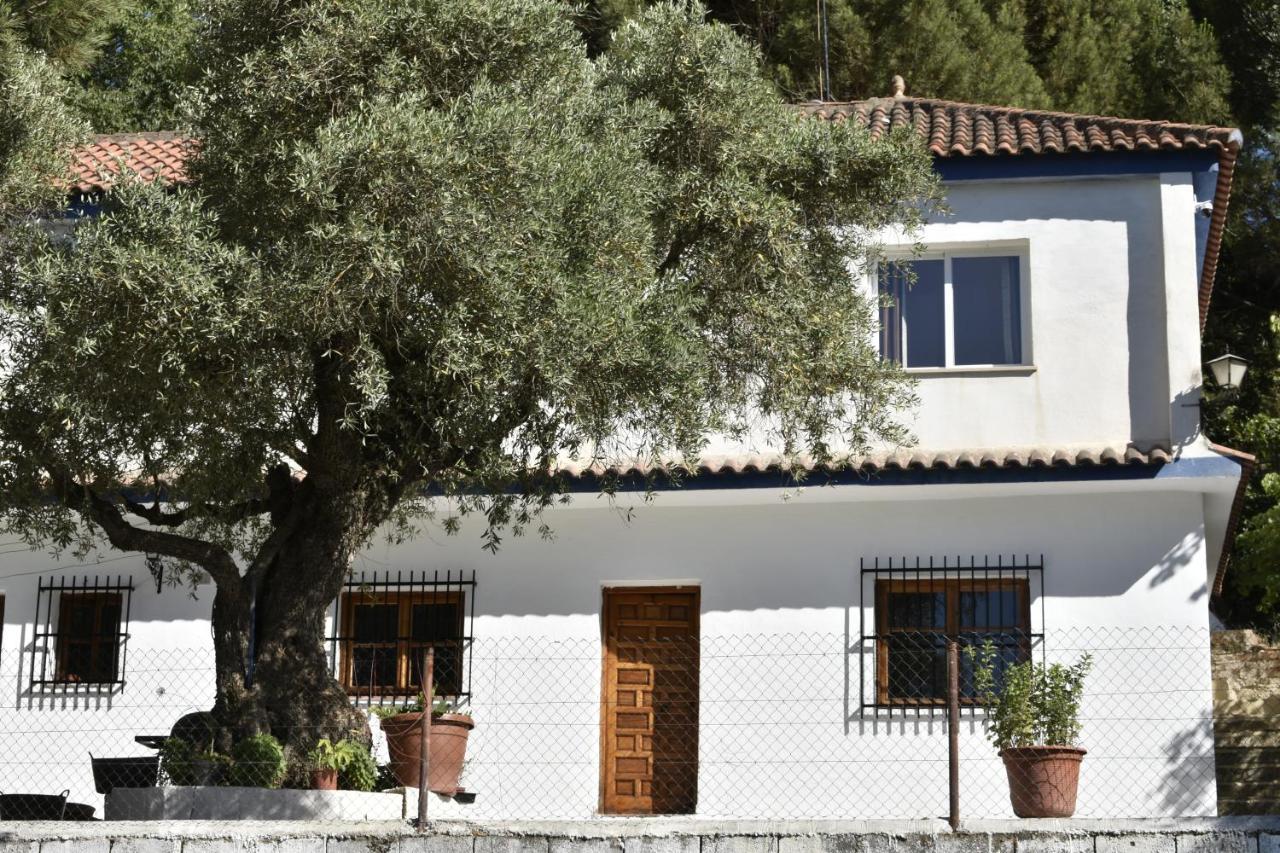 La Casa De Lya Villa Dudar Exteriör bild